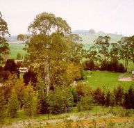 The Tasmanian Arboretum - Accommodation Port Hedland