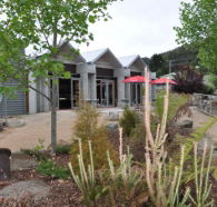Tin Dragon Interpretation Centre and Cafe - Accommodation Port Hedland