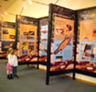 Platypus Experience - Accommodation Port Hedland
