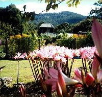 Blueberry Cottage Open Gardens - Accommodation Port Hedland