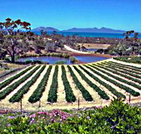 Kate's Berry Farm - Accommodation Port Hedland