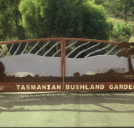 Tasmanian Bushland Garden - Accommodation Port Hedland