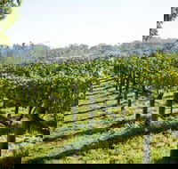 Surveyor's Hill Vineyards - Accommodation Port Hedland