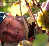 Puddleduck Vineyard - Accommodation Port Hedland