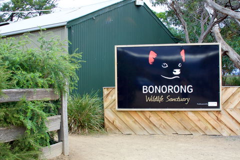 Bonorong Wildlife Sanctuary - Accommodation Port Hedland 1