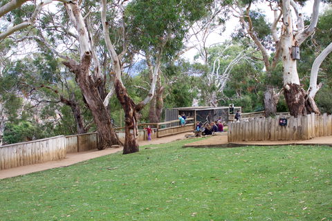 Bonorong Wildlife Sanctuary - Accommodation Port Hedland 2