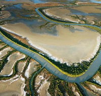 The Wilderness Gallery - Accommodation Port Hedland