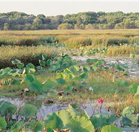 Fogg Dam Conservation Reserve - Accommodation Port Hedland