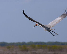 Gayngaru Wetlands Interpretive Walk - Accommodation Port Hedland 0