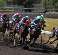 Alice Springs Turf Club - Accommodation Port Hedland