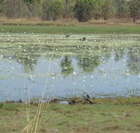 Leaning Tree Lagoon Nature Park - Accommodation Port Hedland