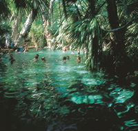 Mataranka Thermal Pool - Accommodation Port Hedland