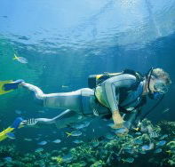 Kirra Reef Dive Site - Accommodation Port Hedland