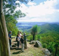 Gold Coast Hinterland Great Walk - Accommodation Port Hedland