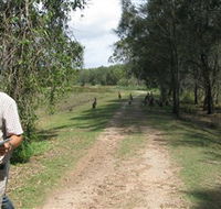 Coombabah Lakes Conservation Area - Accommodation Port Hedland
