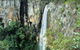 Gondwana Rainforests Of Australia - thumb 0