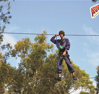 Adventure Parc at Currumbin Wildlife Sanctuary - Accommodation Port Hedland