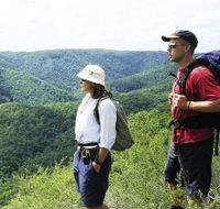 Sunshine Coast Hinterland Great Walk - Accommodation Port Hedland