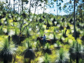 Oakview QLD Accommodation Port Hedland