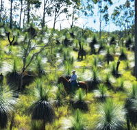 Bicentennial National Trail - Section 5 - Accommodation Port Hedland