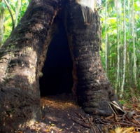 Tewantin National Park - Accommodation Port Hedland