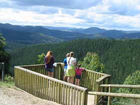 Kenilworth Forest Reserve - Accommodation Port Hedland 0