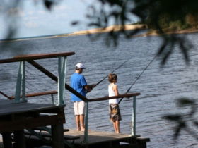 Currimundi Lake (Kathleen McArthur) Conservation Park - Accommodation Port Hedland 0