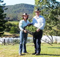 Hinterland Feijoas - Accommodation Port Hedland