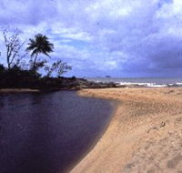 Russell River National Park - Accommodation Port Hedland