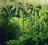 Fern Tree Pool and Giant's Chair Circuit - Accommodation Port Hedland
