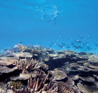 Australian Institute of Marine Science - Accommodation Port Hedland