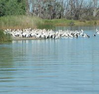 Lake Ross - Accommodation Port Hedland