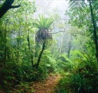 Lamington National Park Green Mountains Section - Accommodation Port Hedland