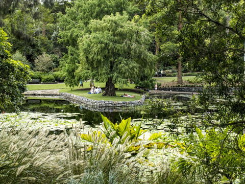 Brisbane Botanic Gardens Mount Coot-tha - Accommodation Port Hedland 1