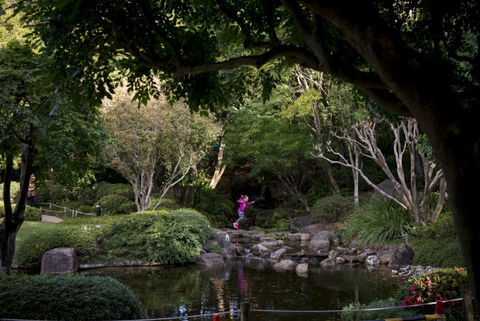Brisbane Botanic Gardens Mount Coot-tha - Accommodation Port Hedland 2