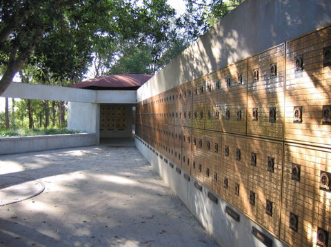 Brisbane Botanic Gardens Mount Coot-tha - Accommodation Port Hedland 3