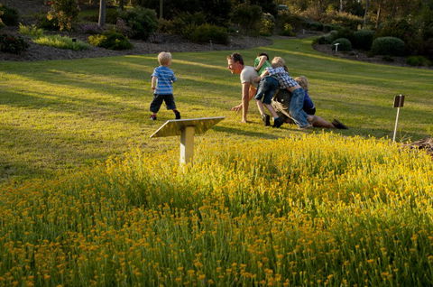 Brisbane Botanic Gardens Mount Coot-tha - Accommodation Port Hedland 5