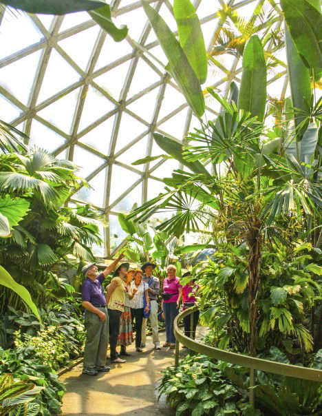 Brisbane Botanic Gardens Mount Coot-tha - Accommodation Port Hedland 10