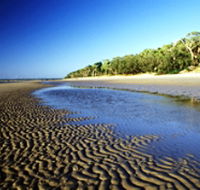 Kinkuna Section
