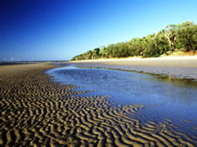 Kinkuna Section - Accommodation Port Hedland 0