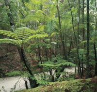 Fraser Island Great Walk - Accommodation Port Hedland