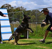 Lawdogs Australia - Accommodation Port Hedland