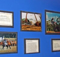 Town Hall Photographic Display - Accommodation Port Hedland