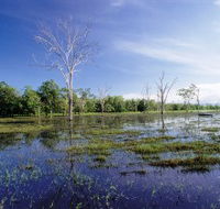 Tyto Wetlands - Accommodation Port Hedland