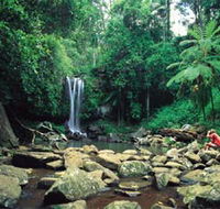 Tamborine National Park - Accommodation Port Hedland