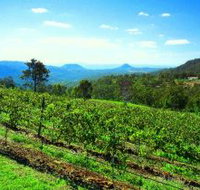 Preston Peak Wines - Accommodation Port Hedland