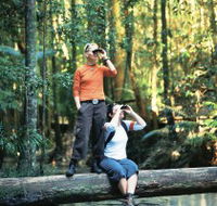 Birdwatching on the Fraser Coast - Accommodation Port Hedland