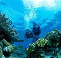 Coral Gardens Dive Site