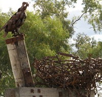 Blackall Sculpture Trail - Accommodation Port Hedland
