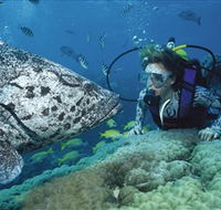 Pelorus Island - Accommodation Port Hedland